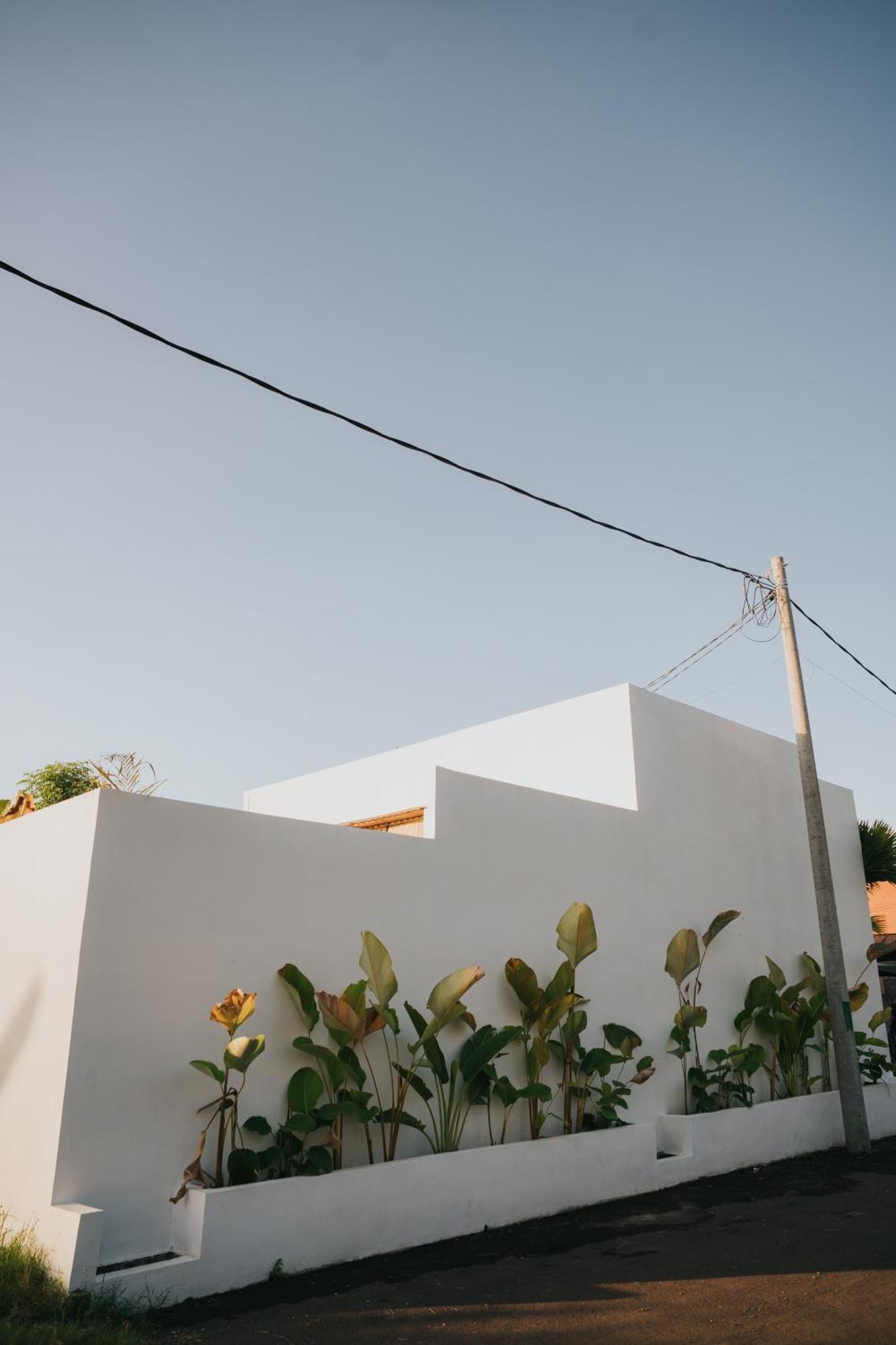 Brandon Villa Lovina With Private Pool Εξωτερικό φωτογραφία